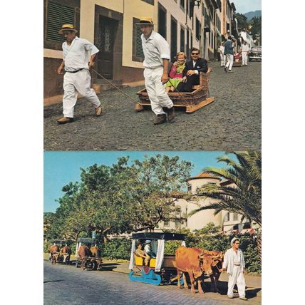Portugal Baskets Race Down Road Tourist Basket Guided Tours 2x Rare Postcard