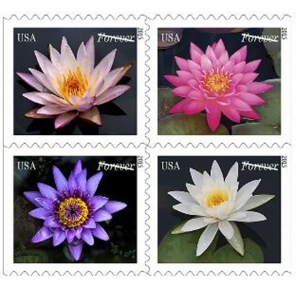 Water Lilies Booklet Pane of 20 First Class Postage Stamps Scott 4967b