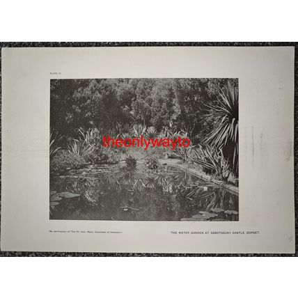 WATER GARDEN AT ABBOTSBURY CASTLE, (More, Reverse), Book Illustration (Print)
