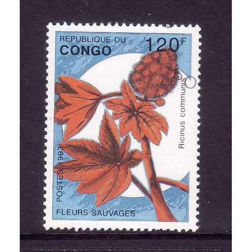 CONGO 1993 WILDFLOWERS SG1377 120F RICINUS COMMUNIS FINE USED#2