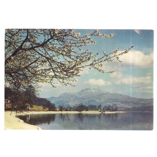 BEN LOMOND, LOCH LOMOND ,Luss unused postcard J.Arthur Dixon 3415 =
