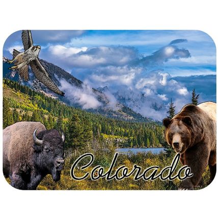 Colorado with Bison and Bear Fridge Magnet