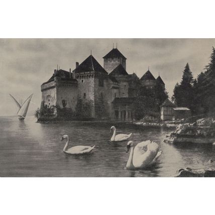 Swans on Lac Leman Switzerland Swiss Old Postcard