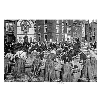 pt3614 - Yorks. - Fisher Girls gutting Fish for Market, Scarborough - print 6x4