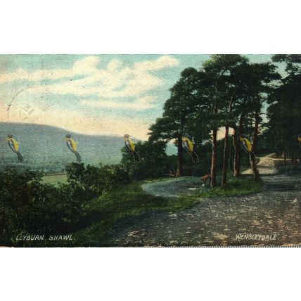 Leyburn Shawl, Wensleydale, Yorks, Rare Smithson, Postcard,1908