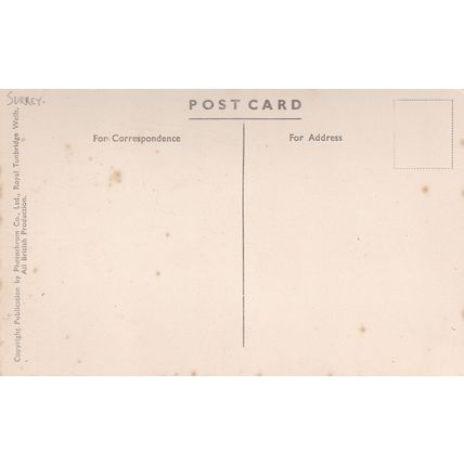 EC8 DORKING - DEEPDENE MANSION HOTEL. PRINTED POSTCARD