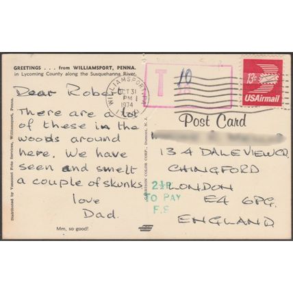 Red Squirrel at Williamsport, Pennsylvania, 1974 - Vannucci Postcard