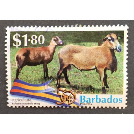 Barbados 2016 50th Anniversary of Independence SG 1458 $1 80c Barbados Sheep