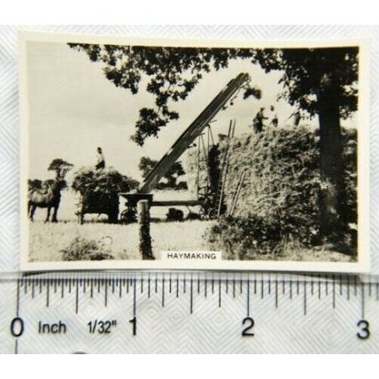 1938 Senior Service Our Countryside 21 Haymaking