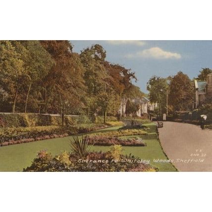 Whiteley Woods Entrance Sheffield Man Crouching at Flowers Yorkshire Postcard