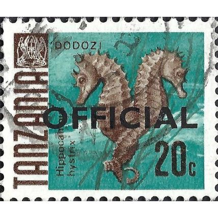 TANZANIA, FISH, Spiny Seahorse, Official, blue-green 1967, 20c, #2