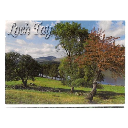 LOCH TAY, ARDAINAIG PERTHSHIRE used postcard 2001 postmark by J.Arthur Dixon =