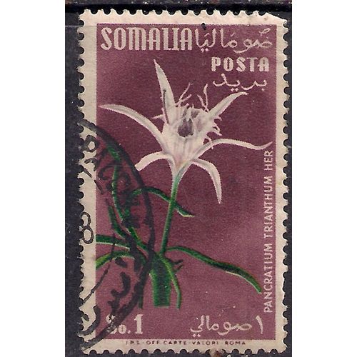Somalia 1955 1s Flowers used stamp SG 289 ( E1062 )