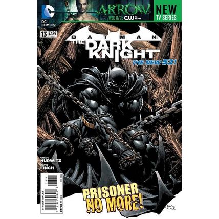 Batman: The Dark Knight (Vol 2) # 013 NM MODERN AGE COMICS