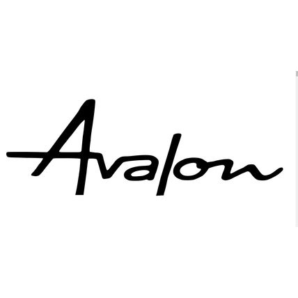 1 x Talbot Express Auto Homes Avalon Decal Sticker 12" X 4" Design 1