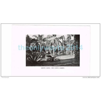 MONTE CARLO, THE CASINO GARDENS, FRANCE, PHOTO BOOK ILLUSTRATION, 1921
