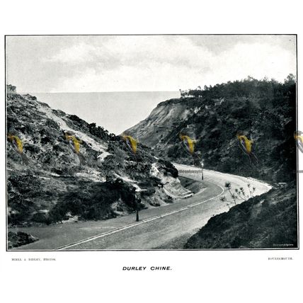 Durley Chine, Bournemouth, England, Beales 1890s, MODERN REPRODUCTION