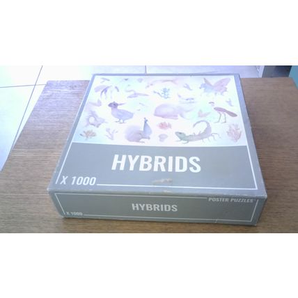 HYBRIDS Jigsaw Puzzle (1000 Piece) Cloudberries