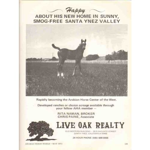 live oak realty 1972 santa ynez valley arabian horse center vintage ad