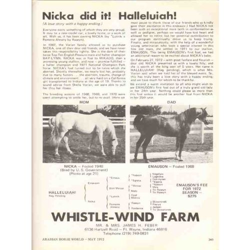 whistle-wind farm 1972 nicka emauson stud arabian horse vintage ad