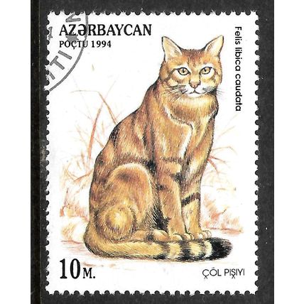 AZERBAIJAN 1994 WILDCATS 10M FELIS LIBICA CAUDATA SG 195 FINE USED