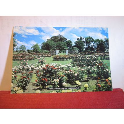 ROSE GARDEN, FRIMLEY PARK, HASTINGS, NEW ZEALAND unused vintage postcard =