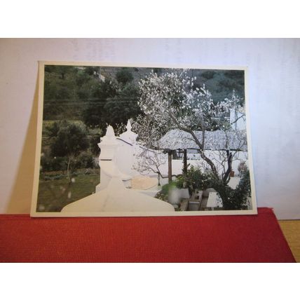 ALCANTARILHA, SILVES, ALGARVE, PORTUGAL used postcard 1986 pm =
