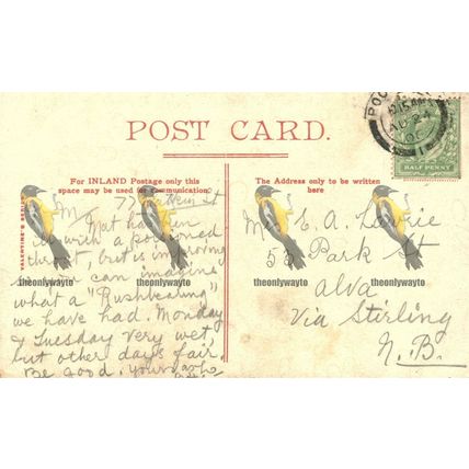 St Mary's Gateway, Leicester, Valentine's Series Postcard, 1906
