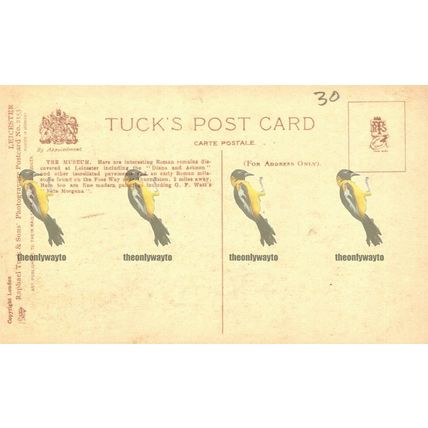 Museum, Leicester, 2153 Tuck's Photogravure Postcard