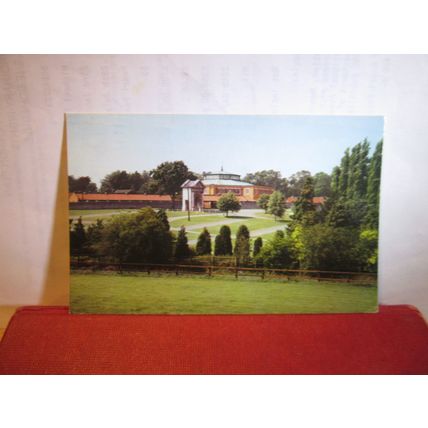 TATTERSALL'S, NEWMARKET, SUFFOLK. used postcard Colourmaster 1983 pm =