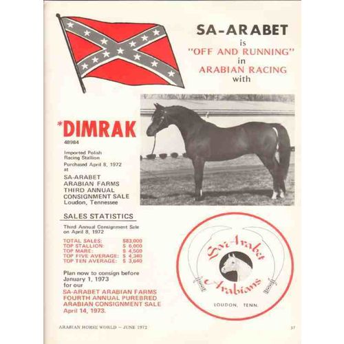 sa-arabet arabians 1972 dimrak consignment racing horse vintage ad