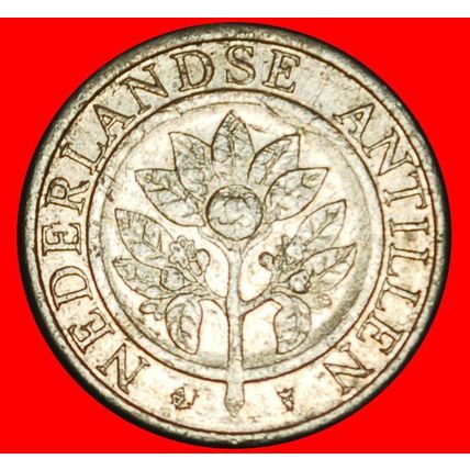 Ⰶ WITHOUT ARUBA 1989-2023:NETHERLANDS ANTILLES★5 CENTS 1991★LOW START★NO RESERVE