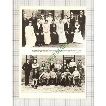 9874) Doxford Hall Ellingham Staff - Cutting