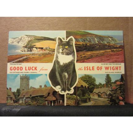 multiview, ISLE OF WIGHT island .unused postcard by Nigh vgc
