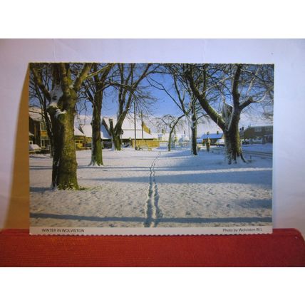 WINTER IN WOLVISTON, Co. Durham Wolviston W.I. vintage postcard unused =