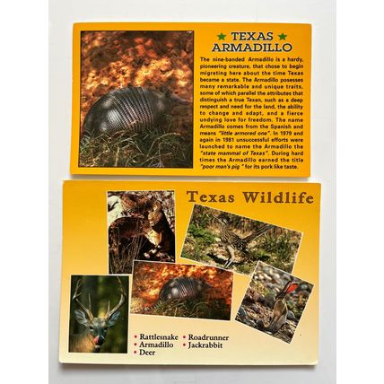 POSTCARD X 2 - TEXAS ARMADILLO & WILDLIFE