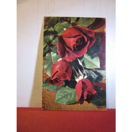 'CRIMSON GLORY' hybrid tea rose flowers unused postcard J Authur Dixon P.C. 28 =