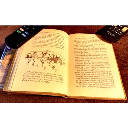 The Bobbsey Twins At Snow Lodge 1960 By Laura Lee Hope Great Shape
