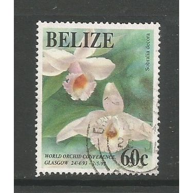 Belize 1993 Orchid Conference 60c, used. SG1145