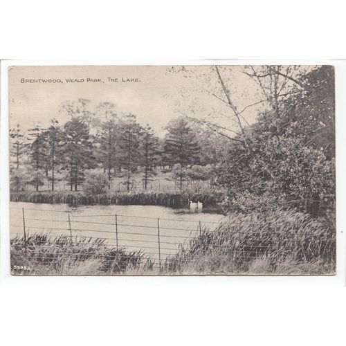 The Lake Weald Park Brentwood Essex 1926 Postcard