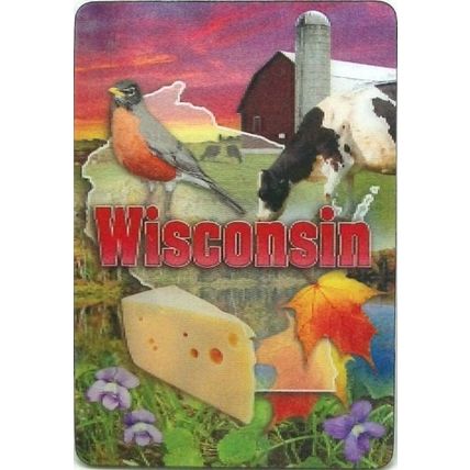 Wisconsin 3D Fridge Magnet