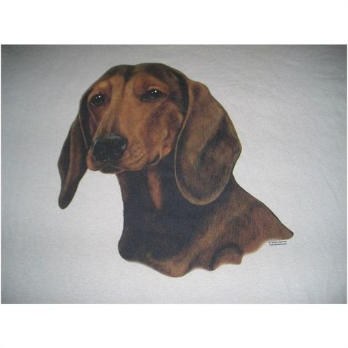 Dachshund Tee Shirt Men's Large Dog Pet