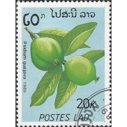 LAOS, FRUIT, Chikoo, Manilkara zapota, blue 1989, 20kip