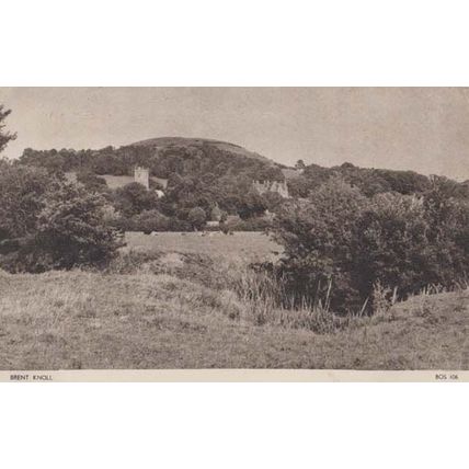 Brent Knoll Cattle Grazing Somerset Antique Postcard