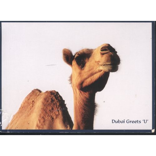 Dubai Postcard 2010 - Dubai Greets 'U'