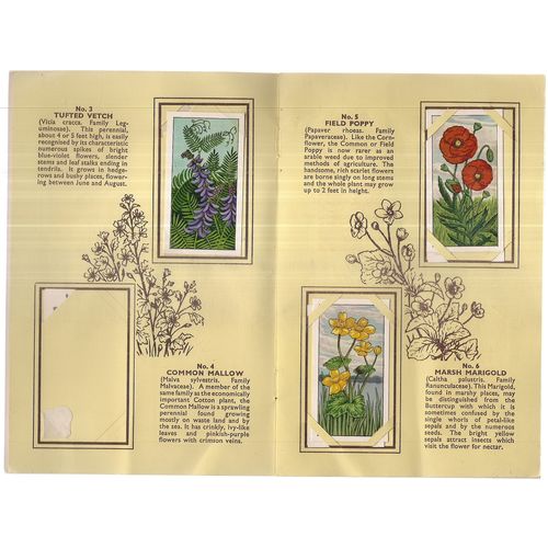 WILD FLOWERS 1961. Typhoo Tea Ltd album with 23 cards.... no 4 missing