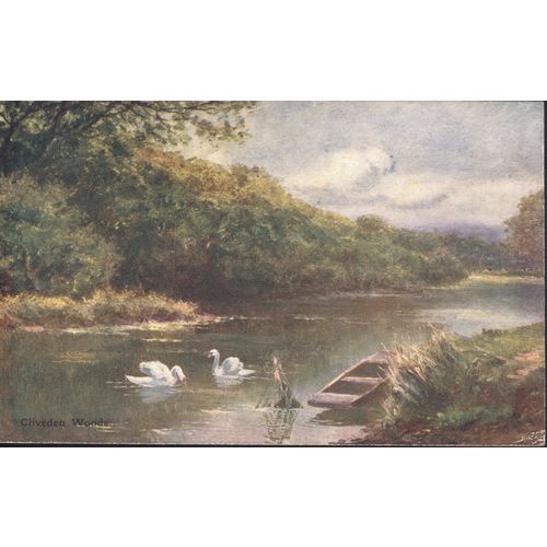 GB Postcard - Clivedon Woods, Buckinghamshire