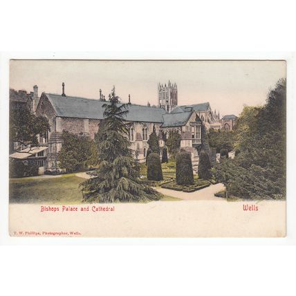 Bishop's Palace & Cathedral Wells Postcard Somerset Local Publisher T W Phillips