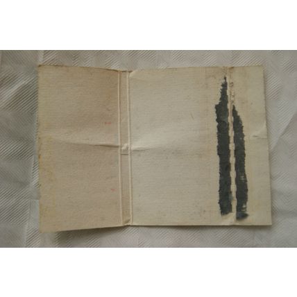 old Matchbook Cover- Frutigen, Switzerland