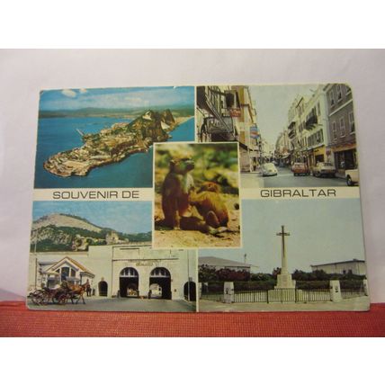 multiview, GIBRALTAR unused postcard monkeys =